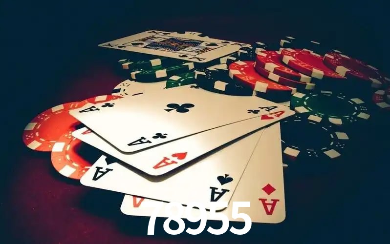 78955 visual 2