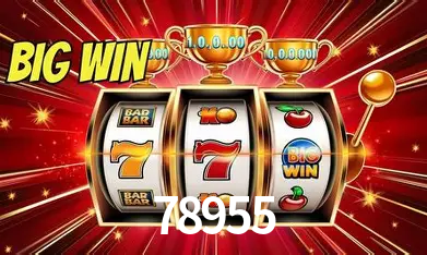 78955 São Paulo - All Bonuses
